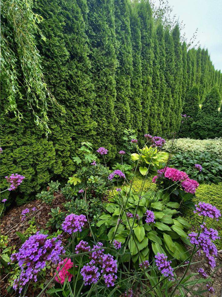 pielęgnacja ogrodów