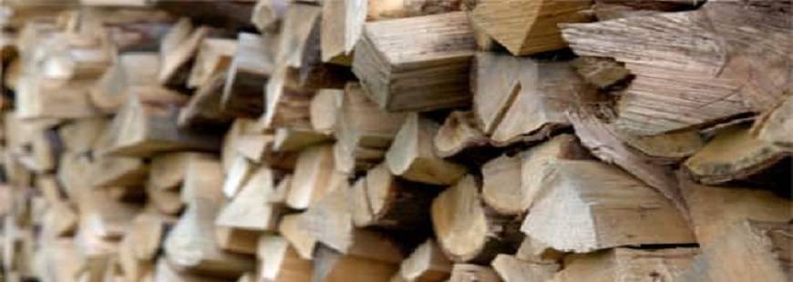 U Grzegorza Bąk Grzegorz