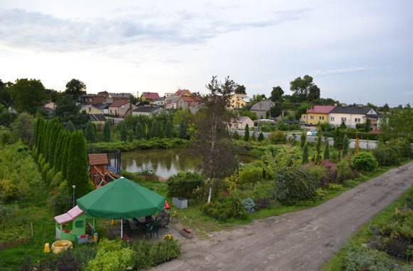 szkółka krzewów ozdobnych