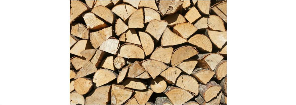 Drew-kom Radosław Frąk