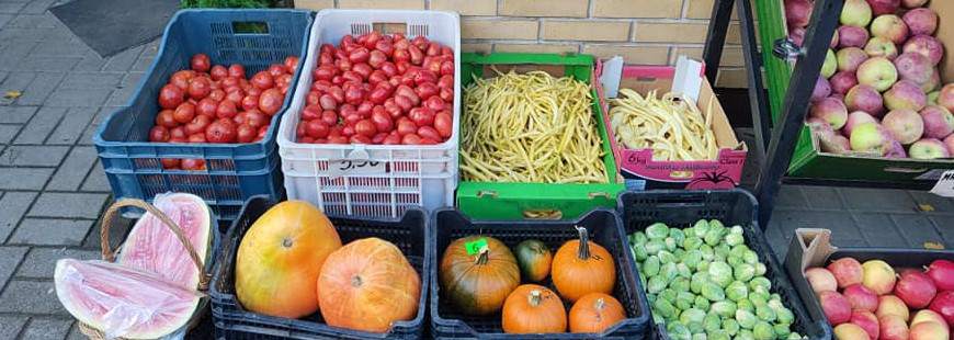 Warzywniak na mostku Anna Łowicka-Kamińska