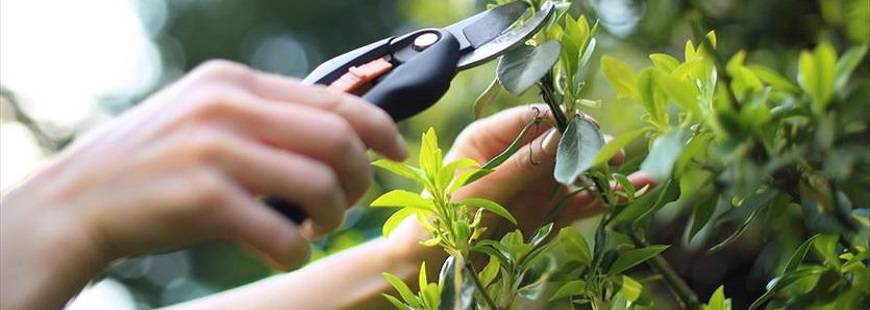 Vena sp.j Bartnikiewicz i S-ka