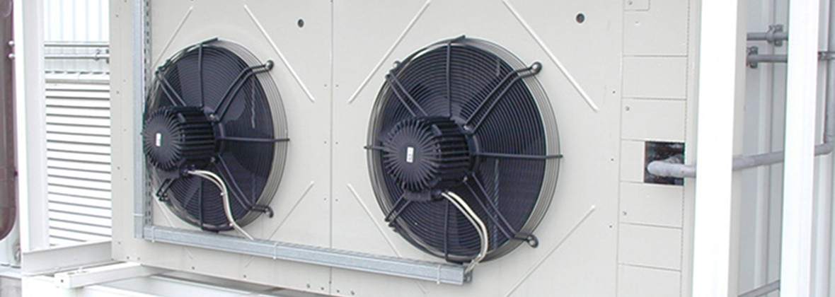 Cawik Jarosław Markowski