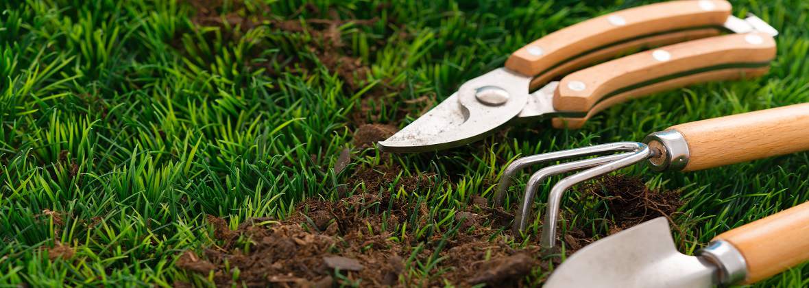 WK GARDEN Usługi Ogrodnicze Krzysztof Wróblewski, Szczecin