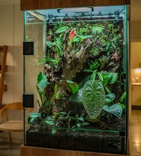 terrarium szklane