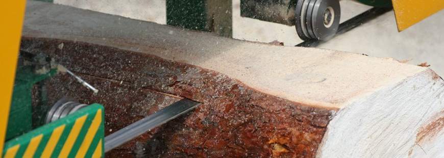 Pinex s.c. Usługi pogrzebowe