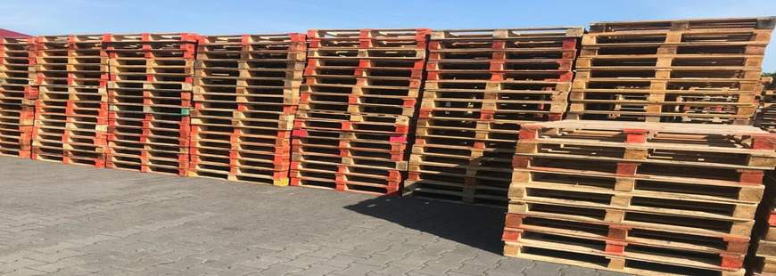 MCZ spółka cywilna Monika Cerazy, Zbigniew Czajka