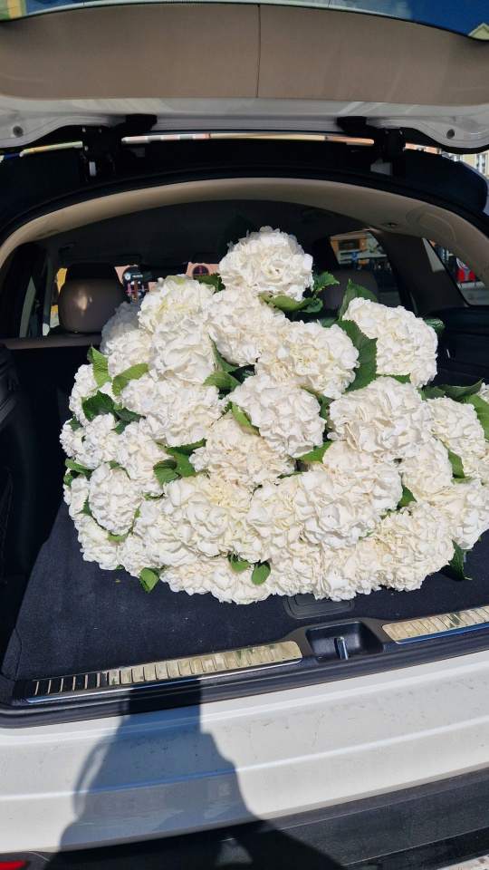 kwiaciarnia, bukiety, boxy kwiatowe, wiązanki