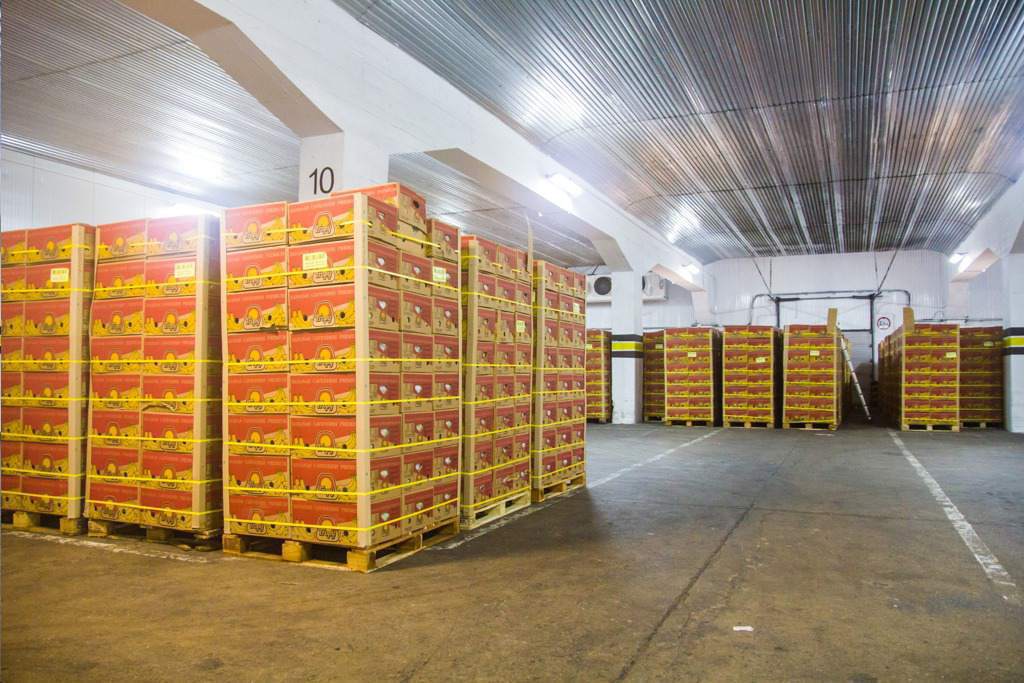 magazynowanie bananów