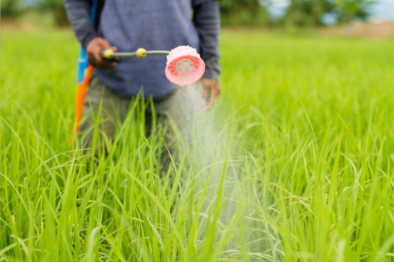 środki ochrony roślin
