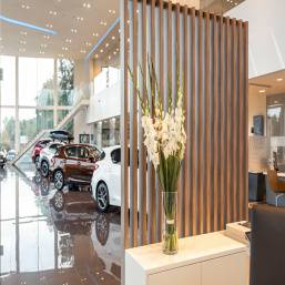 samochody marki Lexus