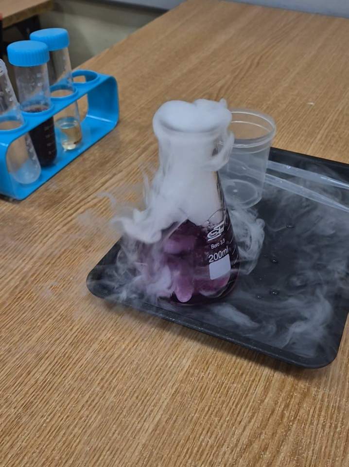 zajęcia edukacyjne dla dzieci