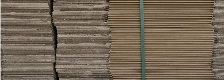 Beti Beata Wojtczak-Burlińska