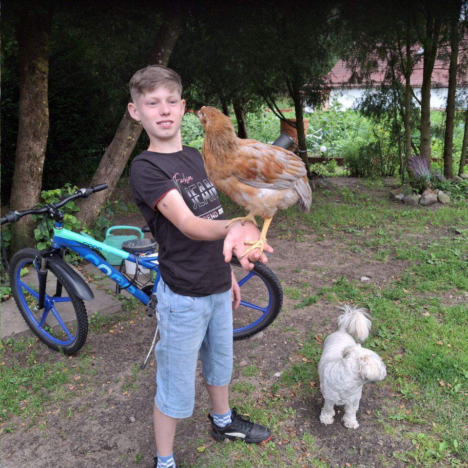 Usługi Gastronomiczne, organizacja wesel, sale na urodziny