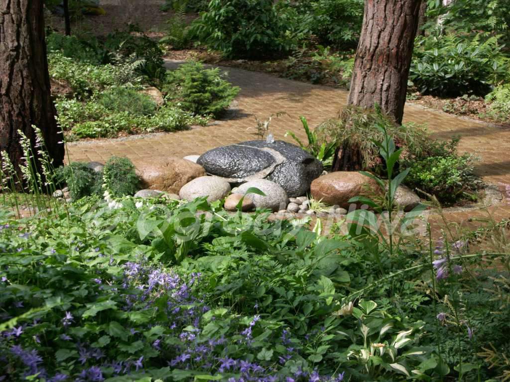 zakładanie, pielęgnacja ogrodów