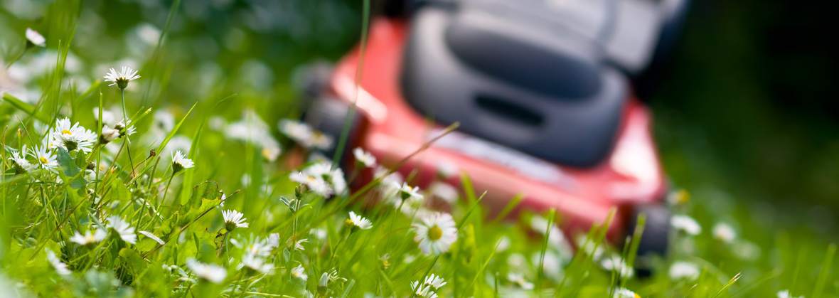 Trawex Rafał Lemanczyk