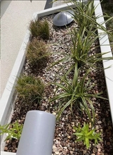 pokazowy ogród deszczowy