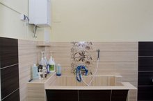 kąpanie psów