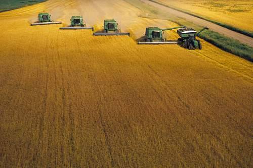 Pro-Agro Sp.j. Jan Rząd - sprzedaż hurtowa i detaliczna nawozów rolniczych i ogrodniczych, Pro-Agro Sp.j. Jan Rząd, Gałęzów