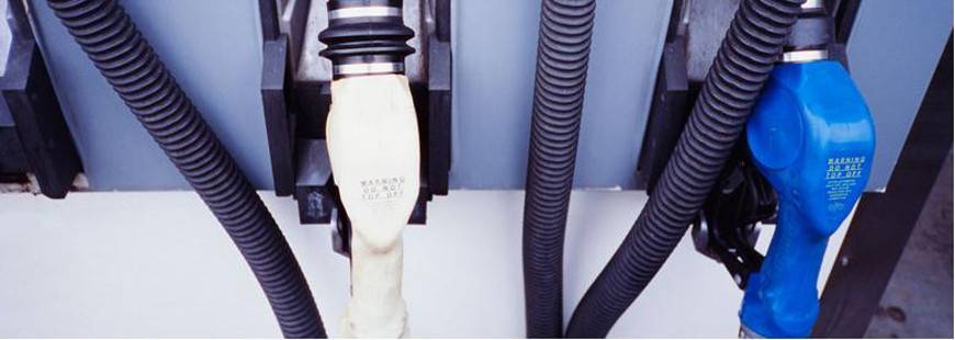 Dys-Pal Sławomir Waszkiewicz