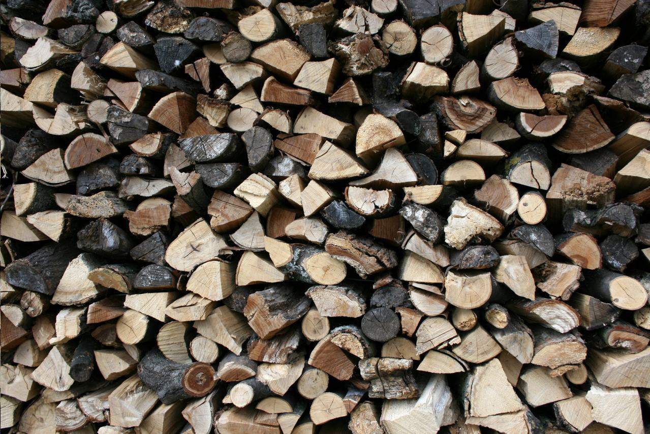 drewno opałowe, Warm-Trak Piotr Wardzyński, Pieniężno