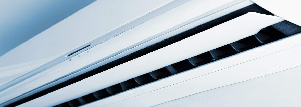 Igllo Marcin Olejnik