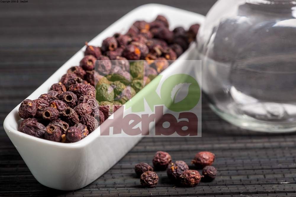 głóg, EkoHerba Karol Sidoruk, Hajnówka