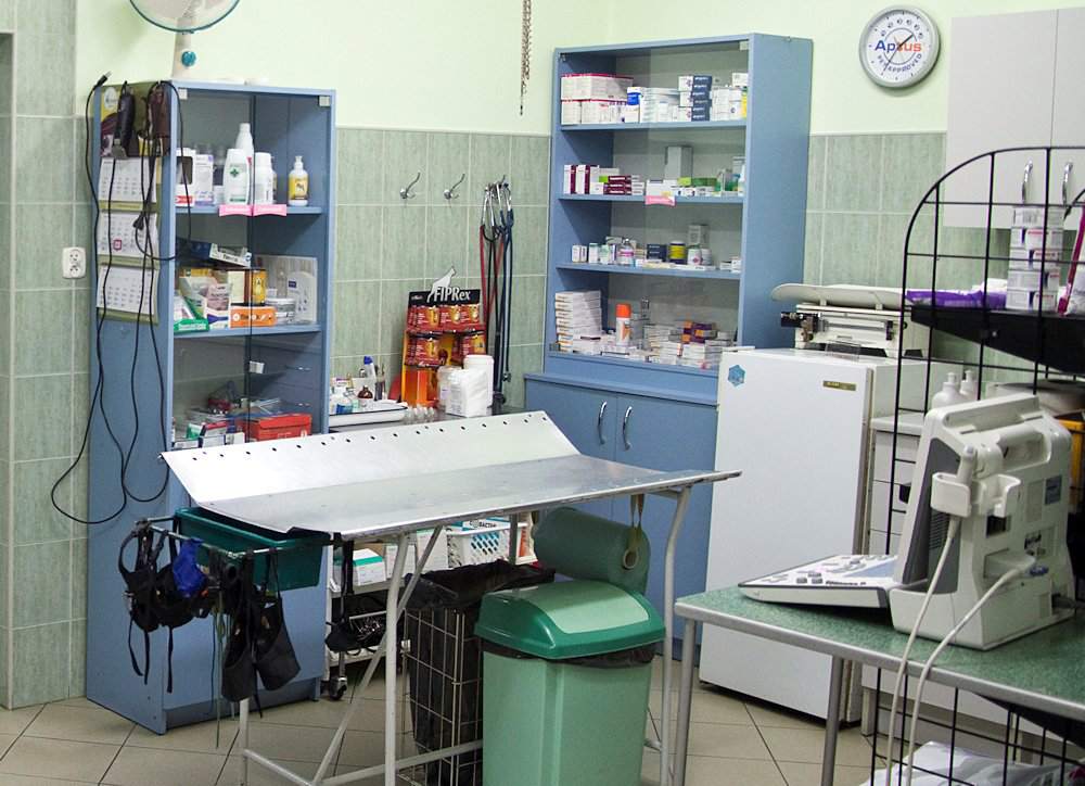 lecznica weterynaryjna