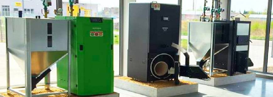 ikotly.com.pl Piotr Więcko