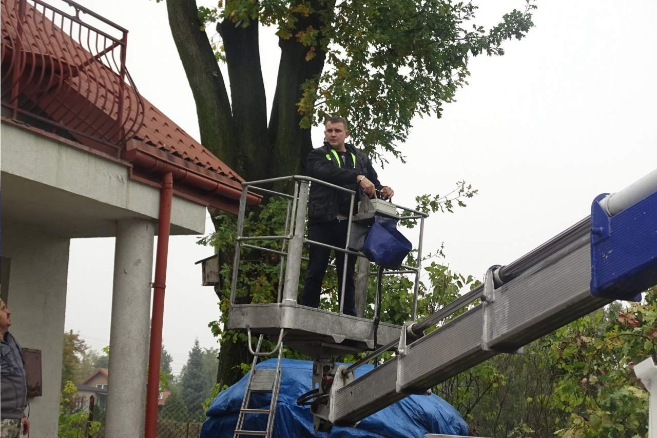 podnośniki koszowe wynajem