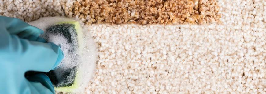 Mirosława Bulczak FHU Eco Green Clean