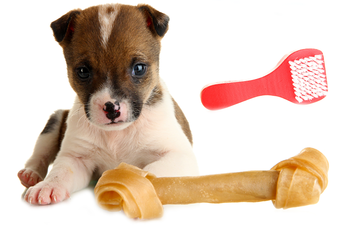 artykuły zoologiczne