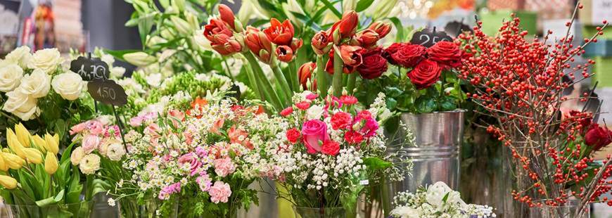 Kwiaciarnia Miasto Kwiatów