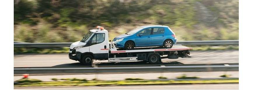 PatiCars Daniel Kalandik