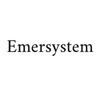 Emersystem - Usługi posadzkarskie