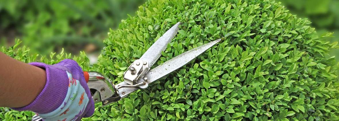 Garden Centrum ogrodniczo - rolnicze Anna Orłowska-Rogos