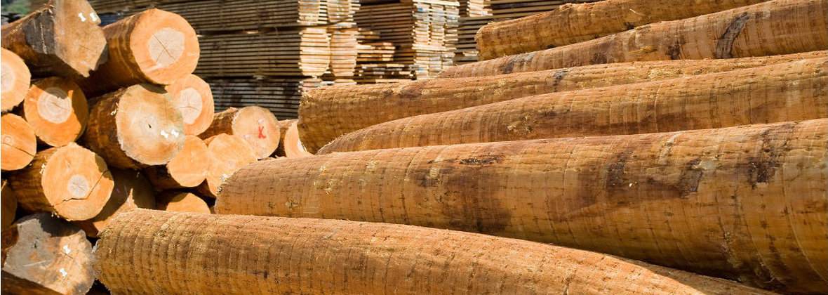 Tartak Rybnica Marcin Marzena Wiśniewscy