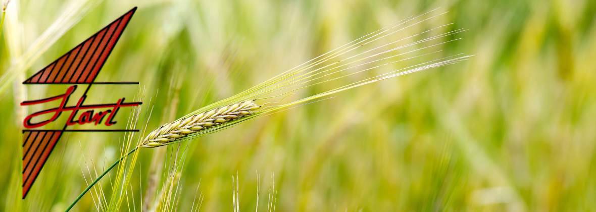 Start Renata Barczyk