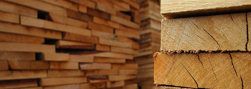 Alicja Skład drewna