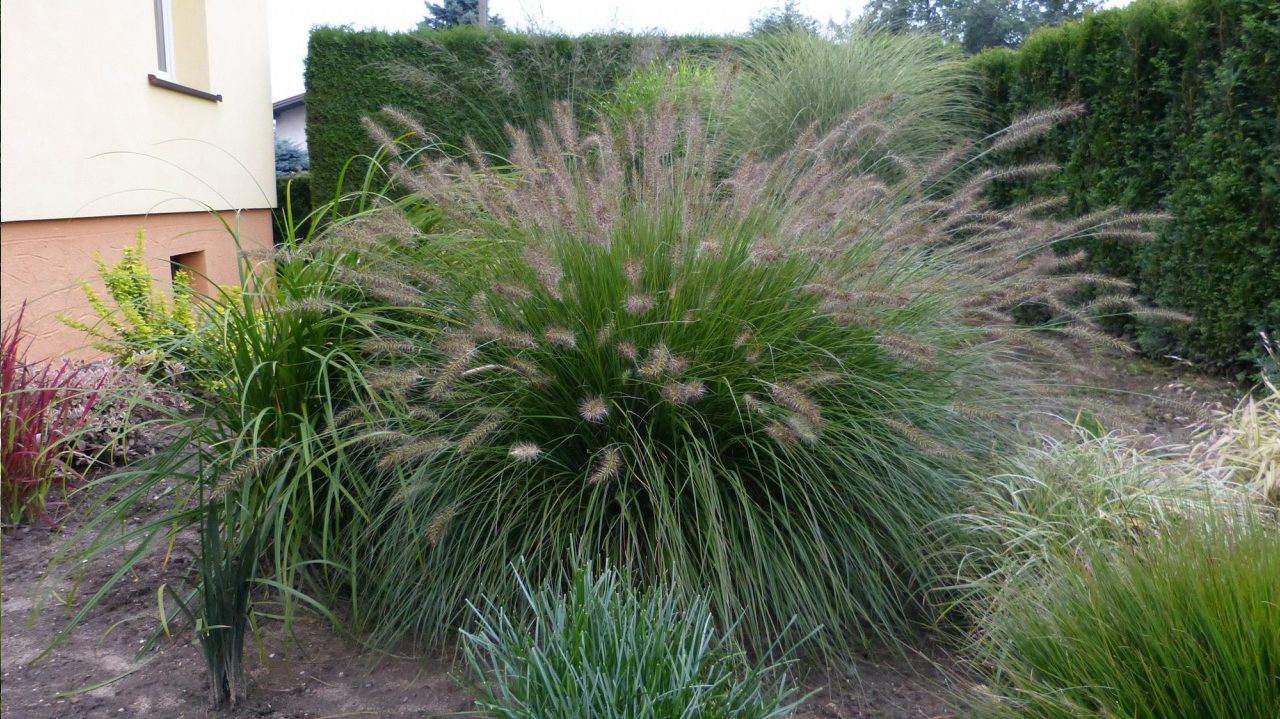 Produkcja roślin i nasion