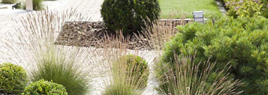 Kor-Dom Michał Moczyński