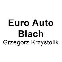 Euro Auto Blach Grzegorz Krzystolik - Stacje obsługi i warsztaty samochodowe