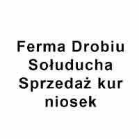 Anna Sołoducha Sprzedaż pasz - Zwierzęta hodowlane