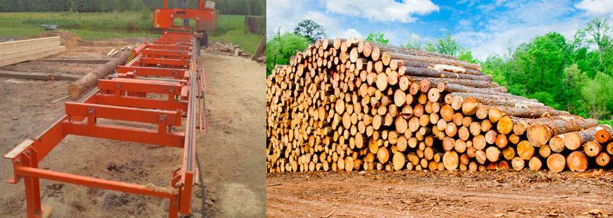 Ew-drew Ewa Kałucka