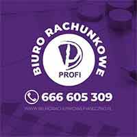 Profi Care Sp. z o.o. Sp.k. - Rewidenci i usługi audytorskie