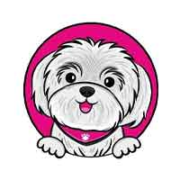 Kesi Salon Pielęgnacji Psów Katarzyna Przybylska - Zwierzęta domowe