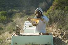 odzież dla pszczelarzy