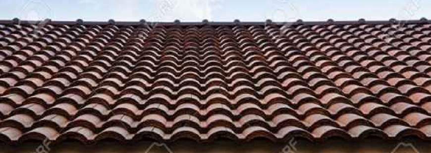 Adi-Bud 24 Ewelina Suprynowicz