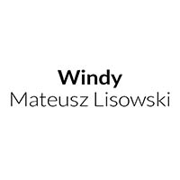 Windy Mateusz Lisowski - Ogrzewanie elektryczne