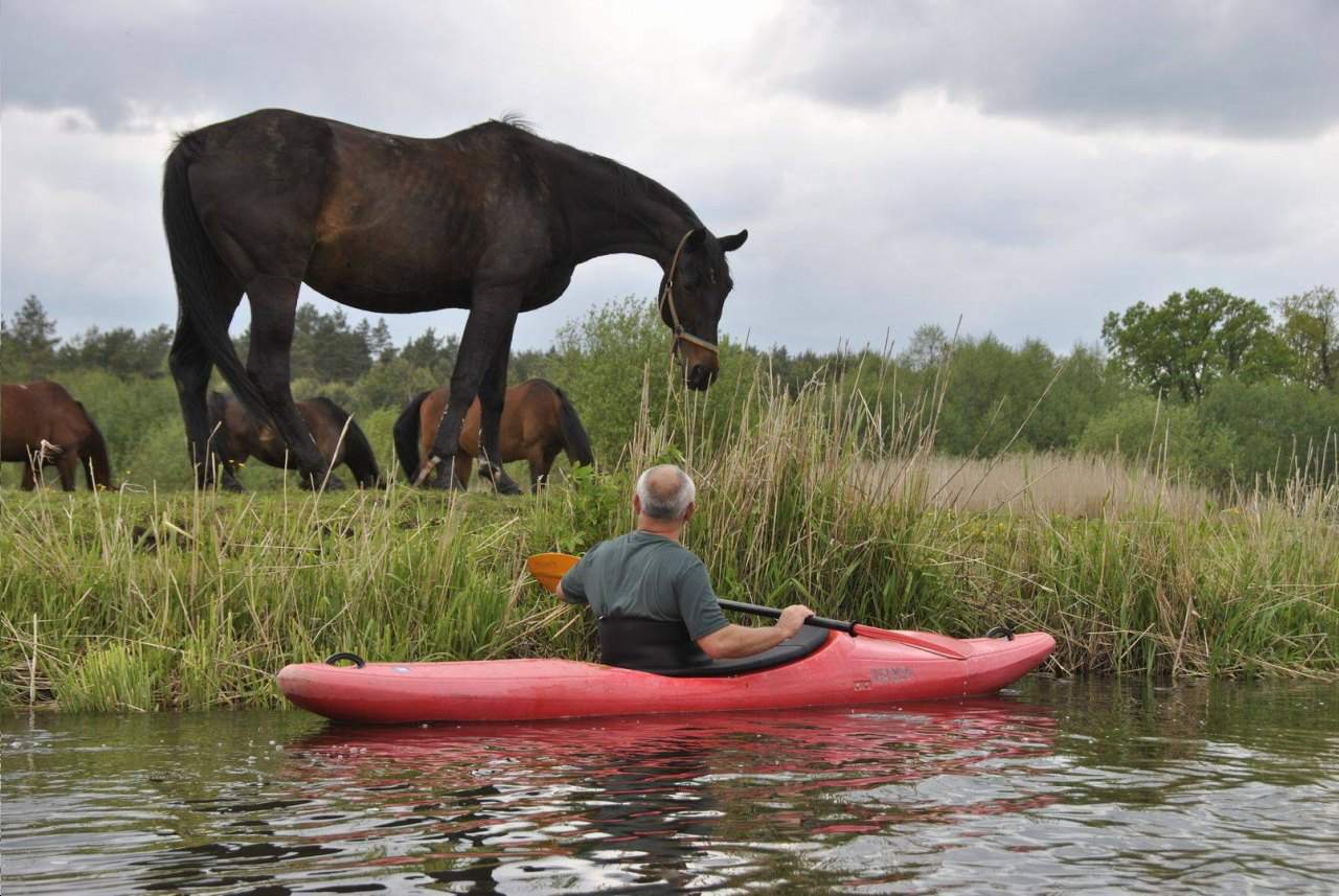 Wypożyczalnia Kajaków "ŻUCZEK"